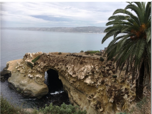 The Vibe and Catch of La Jolla Cave Part 3 of 3